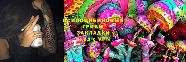 2c-b Лабытнанги