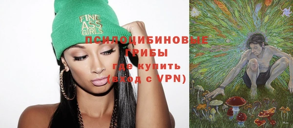 сатива Ладушкин