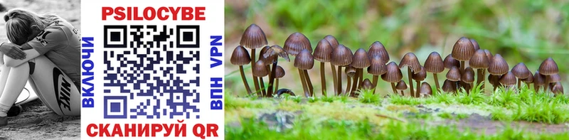 Купить где  Нижнекамск  Галлюциногенные грибы Psilocybe 