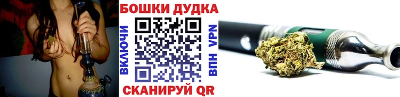 Каннабис ГИДРОПОН  Купить закладки  Нижнекамск 